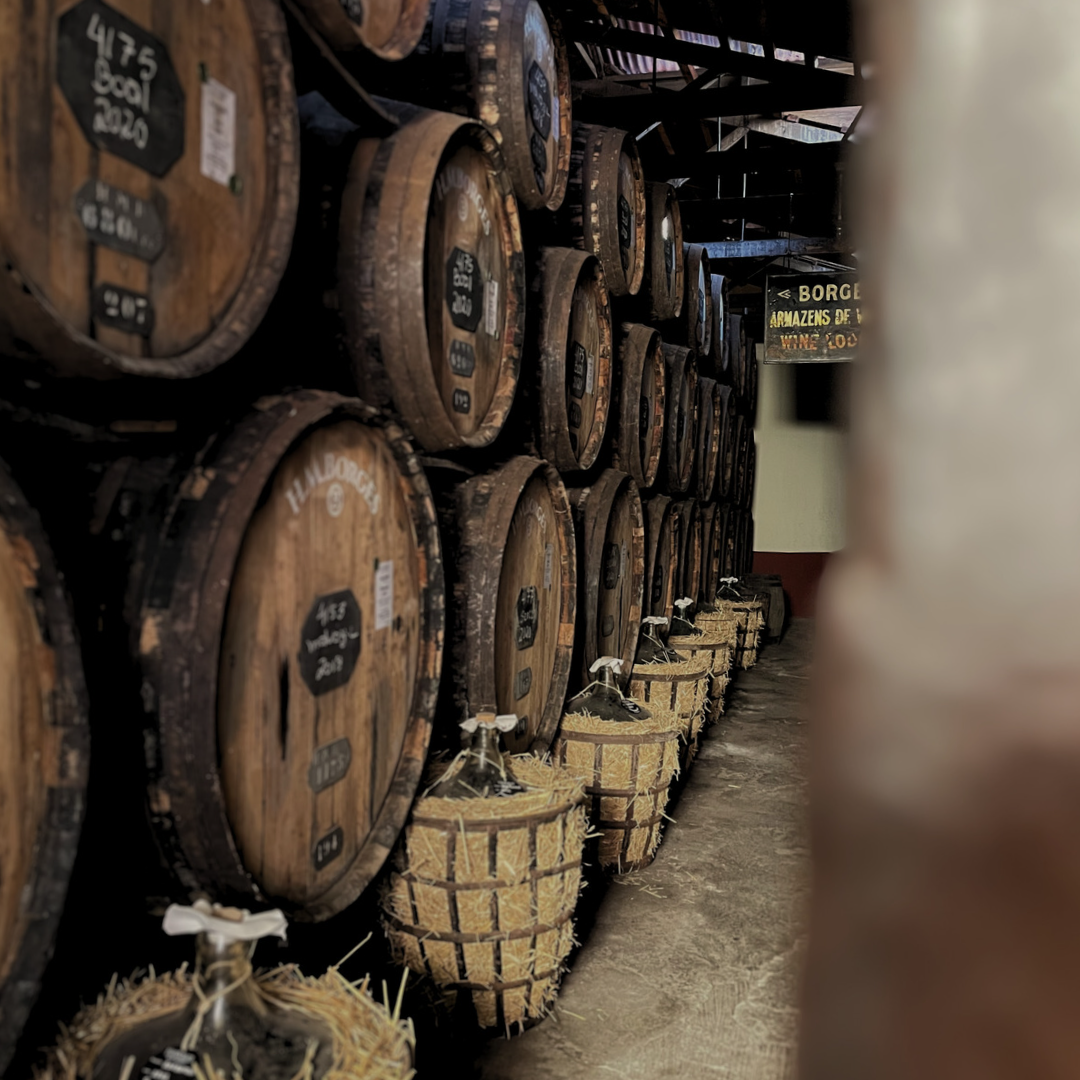 Prime Experience - Visita e Prova
